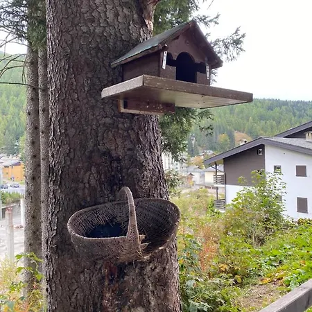 Apartamento Neve