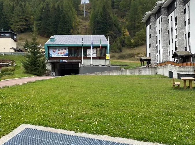 Neve *