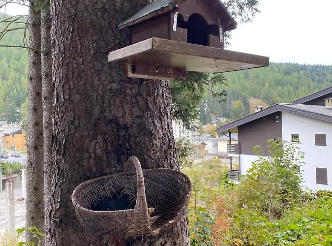 Apartman Neve